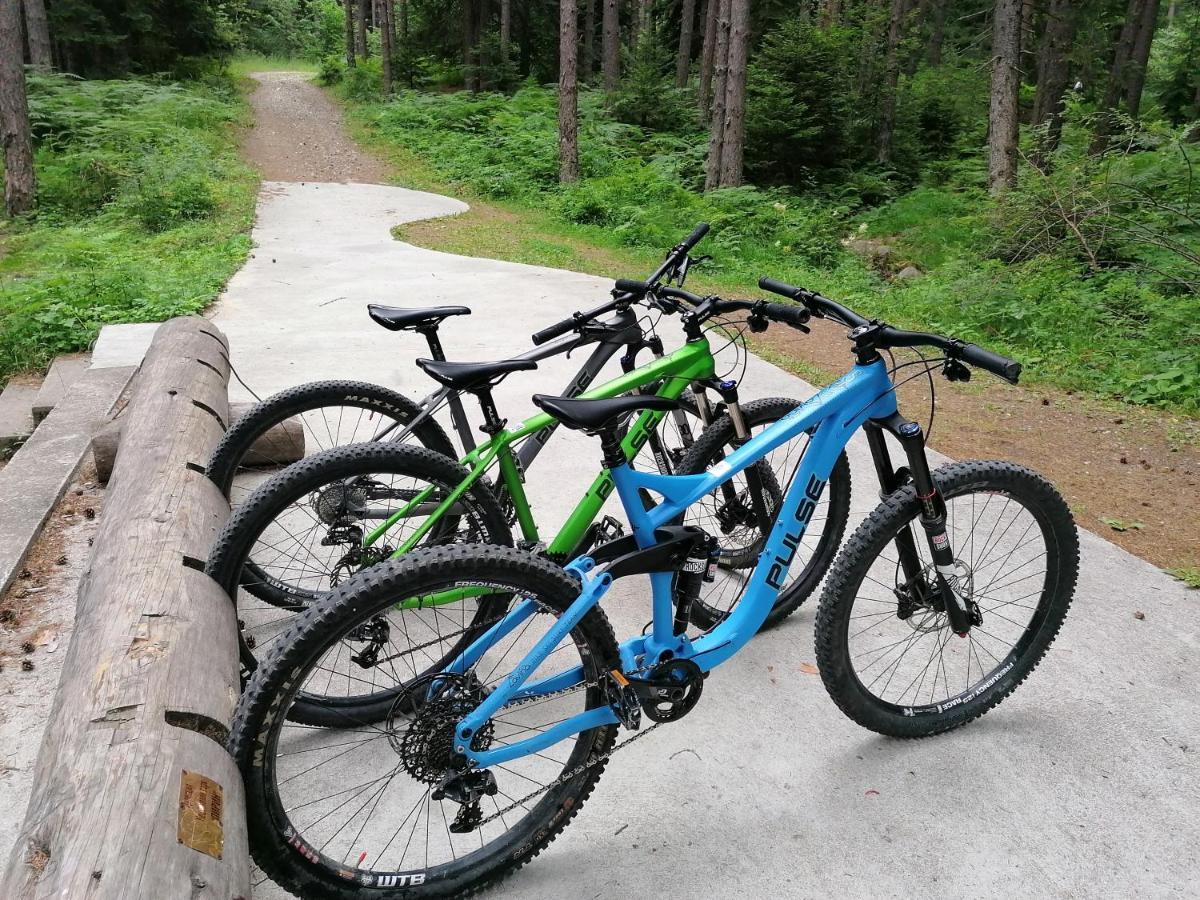 White Lavina - Ski, Bike, Hike Бансько Екстер'єр фото